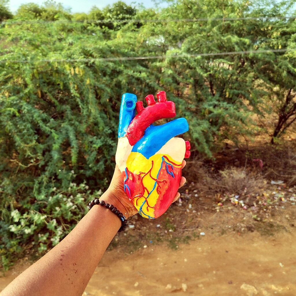 Clay modelling heart school project